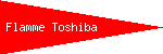 Flamme Toshiba